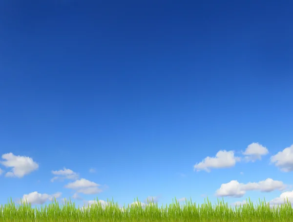 Lucht en groen gras achtergrond — Stockfoto