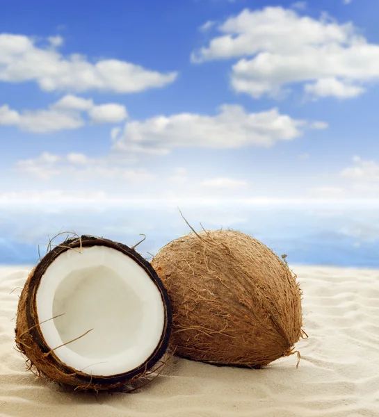 Kokos på stranden — Stockfoto