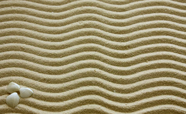 Фон з піском і мушлями — стокове фото