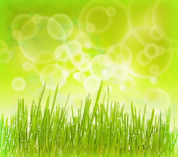 Abstract background with grass — Stock Photo, Image