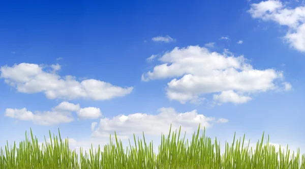 Sky a trávy panorama nápis — Stock fotografie