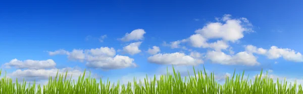 Sky a trávy panorama nápis — Stock fotografie