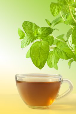 Mint tea clipart