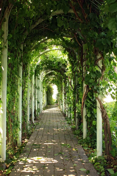 stock image Gazebo in the garden green valley