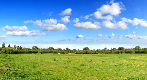Панорама весеннего поля — стоковое фото
