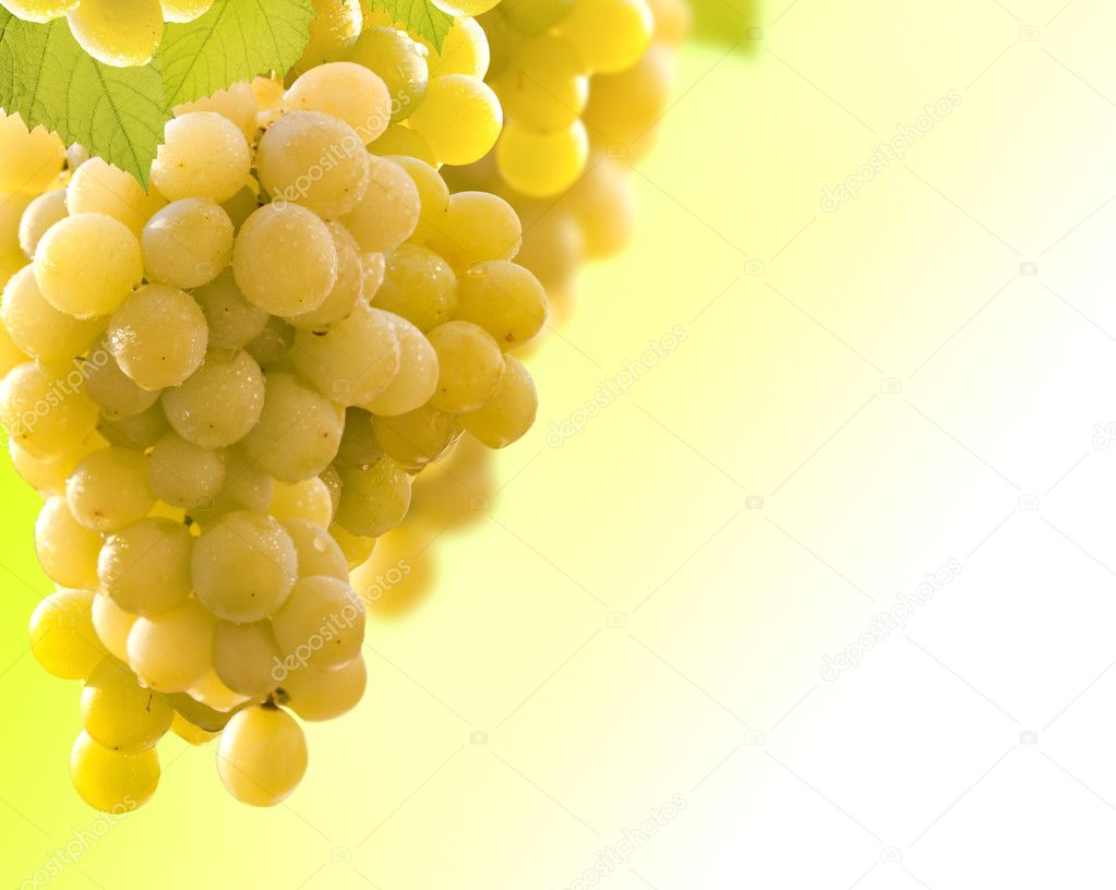Желтый виноград под каплями без смс