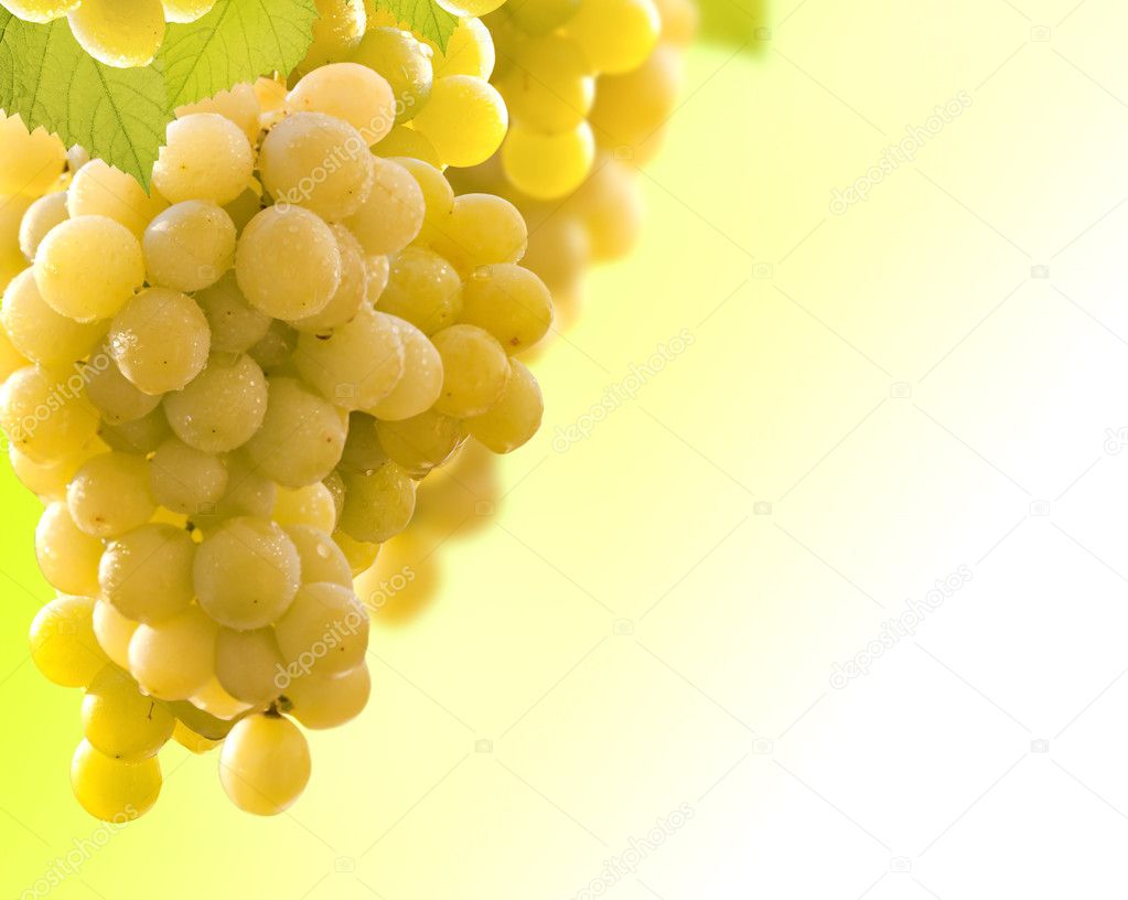 Wine grapes background