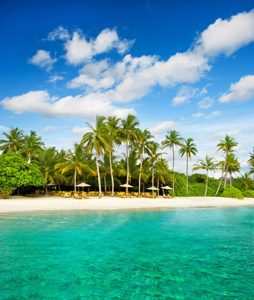 Tropisch eiland palm strand met mooie blauwe hemel Stockafbeelding