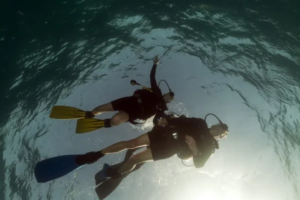Immersioni subacquee nel Mar Rosso . — Foto Stock