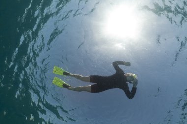 kızıl denizde balık tespit snorkeler.