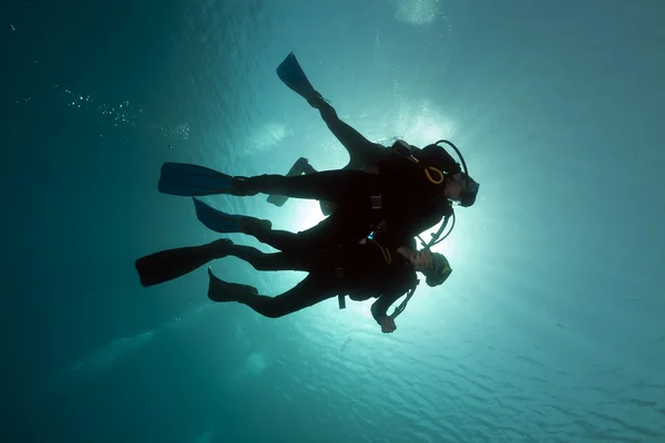 Mergulhadores no Mar Vermelho . — Fotografia de Stock