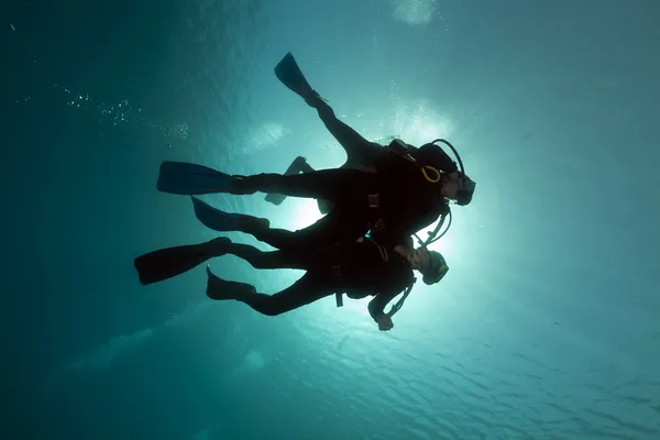 Plongeurs sous-marins dans la mer Rouge . Image En Vente