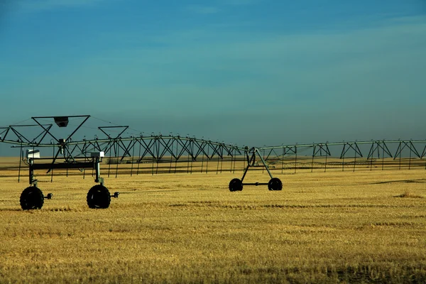 stock image Irrigation