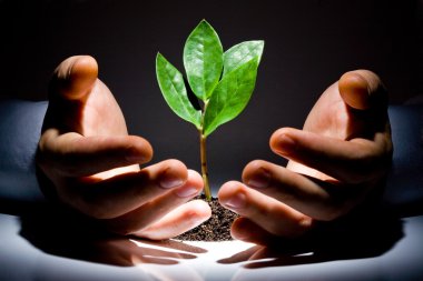 Hands with plant clipart