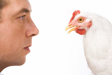 Profiles of man and hen clipart