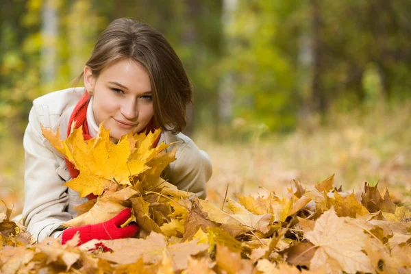 In the park — Stock Photo, Image