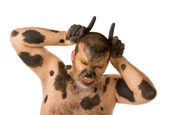 Angry ox — Stock Photo, Image