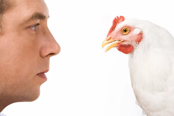 Profiles of man and hen — Stock Photo, Image