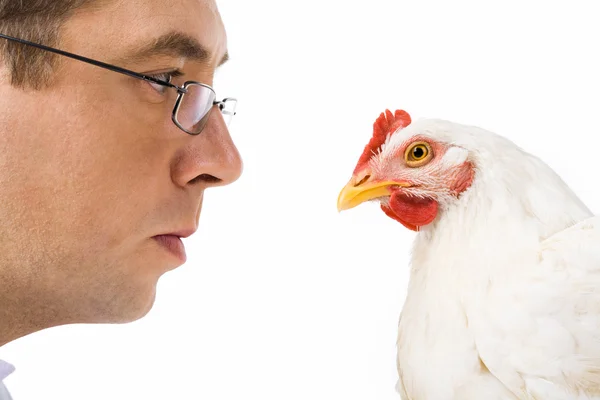 Aprender galinha — Fotografia de Stock