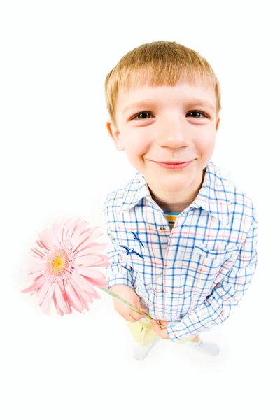 Niño con flor — Foto de Stock