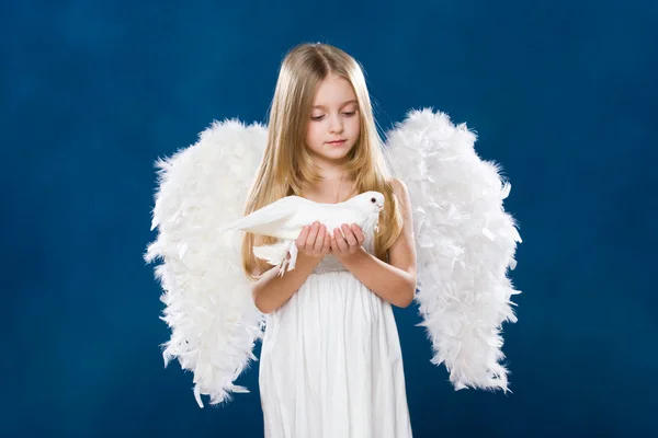 Angel with dove Stock Image
