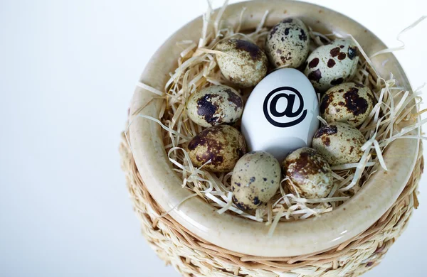 Nettó tojás — Stock Fotó