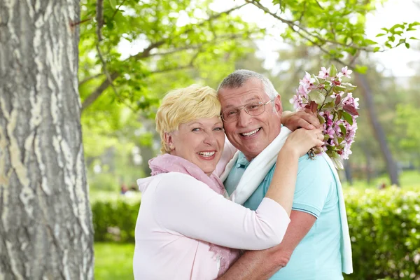 Romance. — Fotografia de Stock