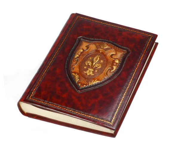 Велика коричнева старовинна шкіряна книга Стокове Фото