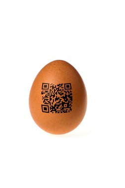 Egg with qr code clipart