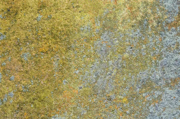 Sandstone overgrown with lichens — Stock Photo, Image