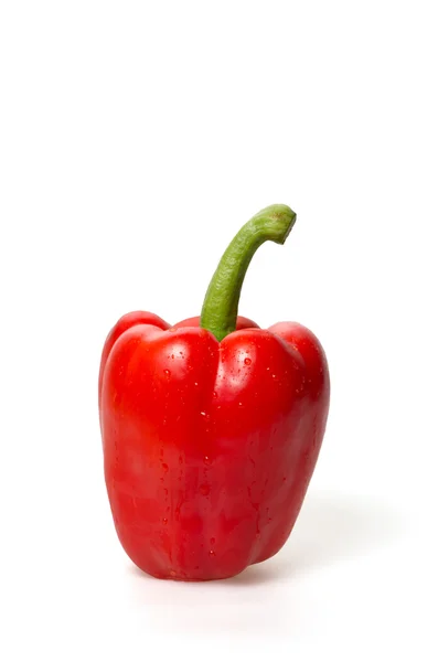 stock image Red bell pepper