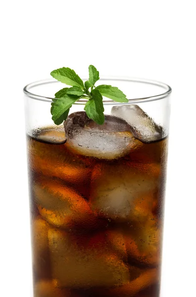 Cola sklo s stevia listy — Stock fotografie