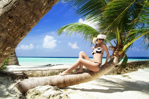 열 대 해변에서 아름 다운 매끈한 여자 로열티 프리 스톡 이미지