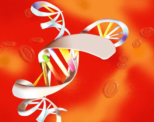 DNA syra desossiribonucleic — Stockfoto