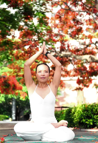 Yoga exercise under blooming flame trees — Stock Photo, Image