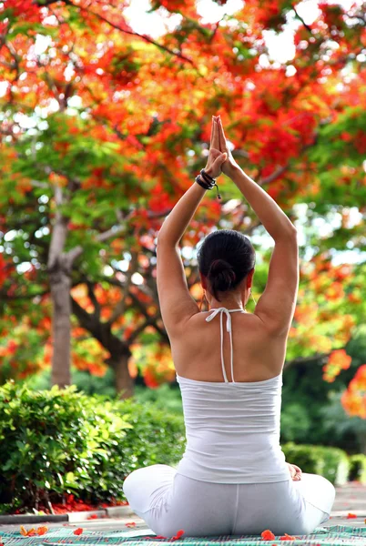 Beautiful young woman practising yoga outdoors — Stock Photo, Image