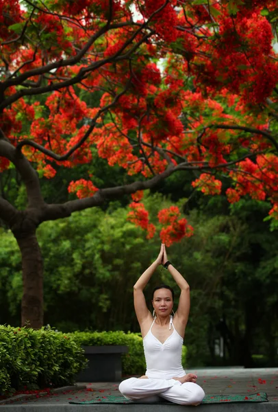 Yoga Lotus — Stock Photo, Image