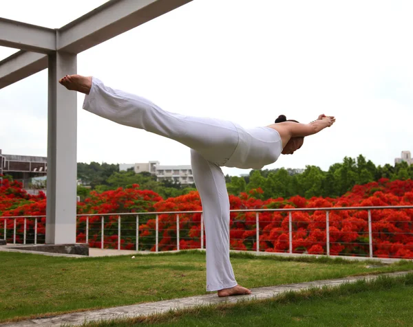 Yoga equilíbrio de pé — Fotografia de Stock