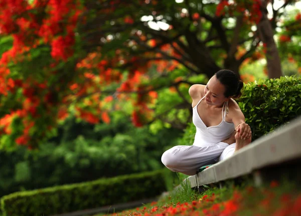 stock image Yoga under flame-tree