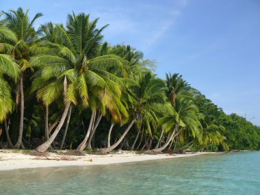 Havelock beach No.5