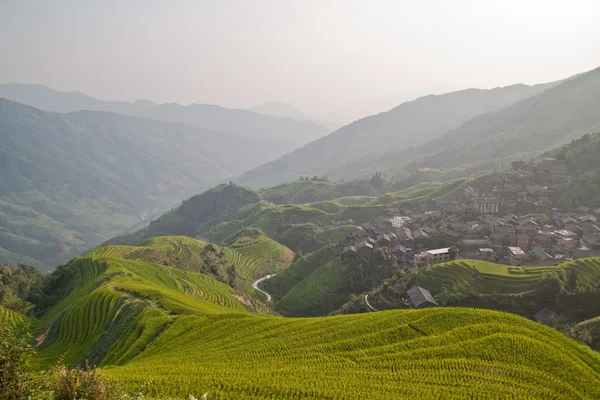 stock image Rice terrace of Guanxi