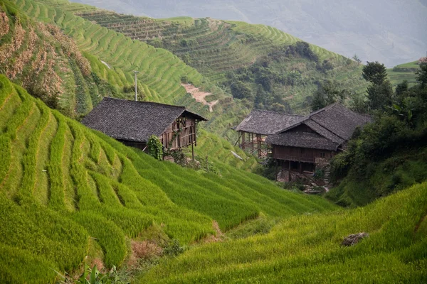 Рисовая терраса Гуаньси — стоковое фото