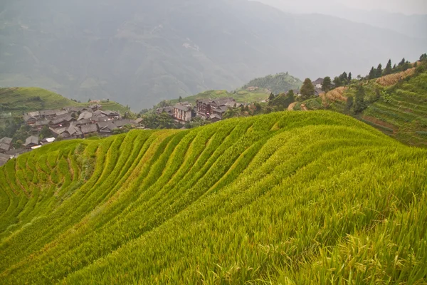 Ryż tarasie guanxi — Zdjęcie stockowe