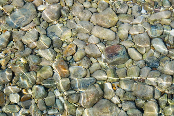 Kieselsteine im flachen Wasser — Stockfoto