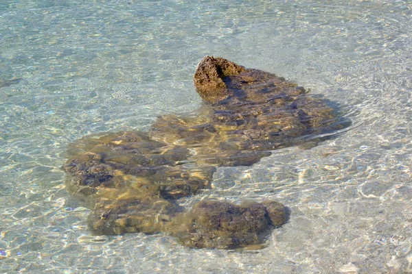 Riff im flachen Wasser — Stockfoto