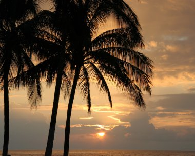 Hawaiian Sunset clipart