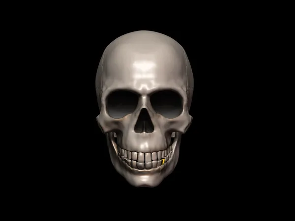 De menselijke schedel — Stockfoto