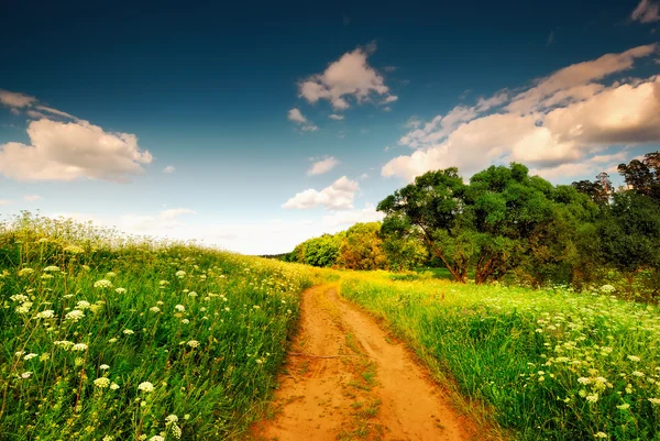 The road into a field. — Stock Photo, Image