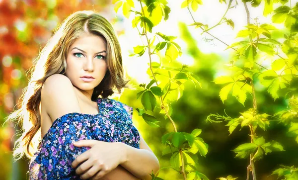 Joven chica atractiva con vestido azul al aire libre en el campo.Rubia con ojos azules —  Fotos de Stock