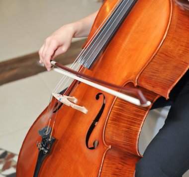 Playing the cello at opera clipart